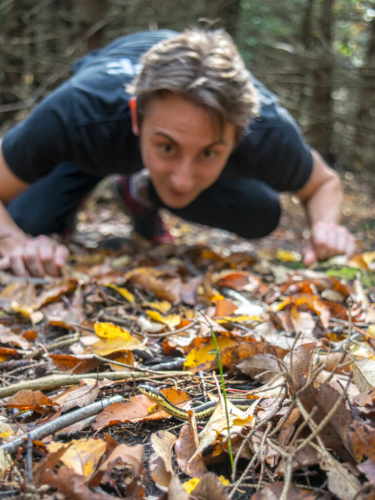 A man crouches in the background out of focus; a garter snake pokes its head above fall leaves in the foreground.